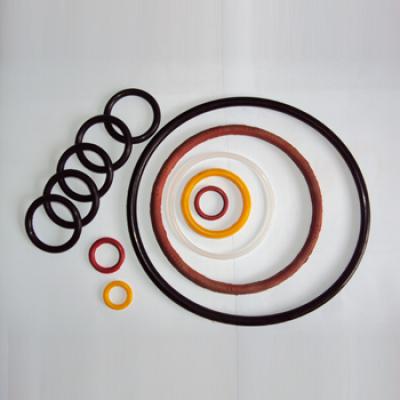 Aneis Elasticos 01