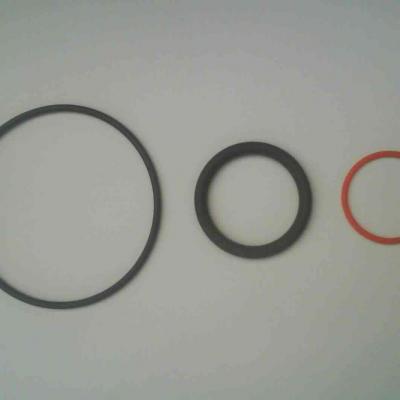 Aneis Elasticos 07
