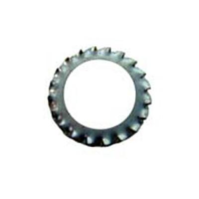 Arreuelas Dentadas Externa 05