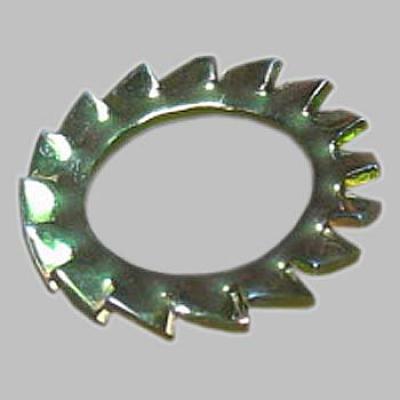 Arreuelas Dentadas Externa 06