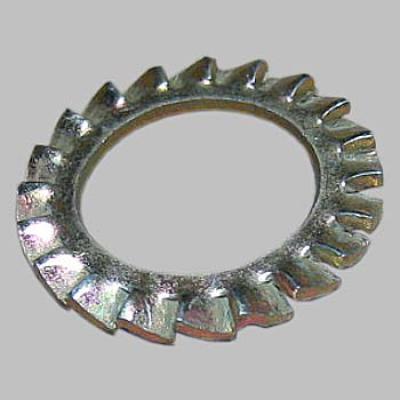 Arreuelas Dentadas Externa 07