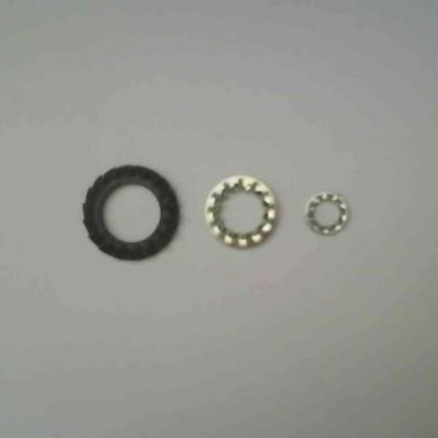 Arreuelas Dentadas Interna 02