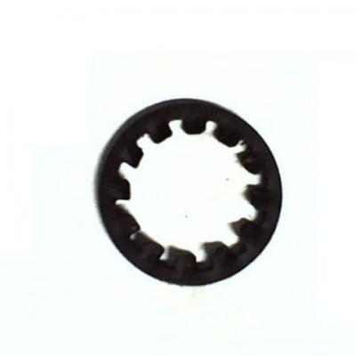 Arreuelas Dentadas Interna 04